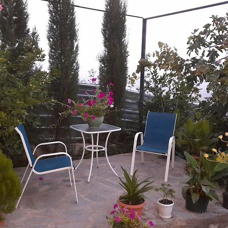 Abramichi Guest House Sighnaghi Zewnętrze zdjęcie