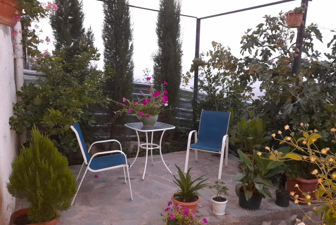 Abramichi Guest House Sighnaghi Zewnętrze zdjęcie