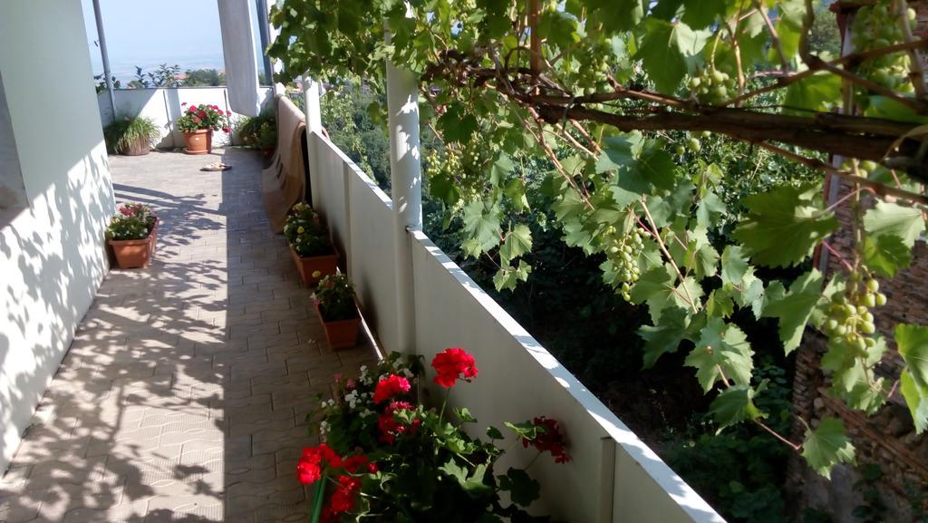Abramichi Guest House Sighnaghi Zewnętrze zdjęcie