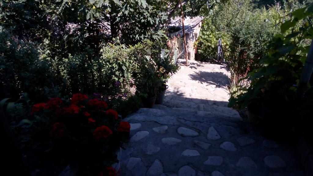 Abramichi Guest House Sighnaghi Zewnętrze zdjęcie