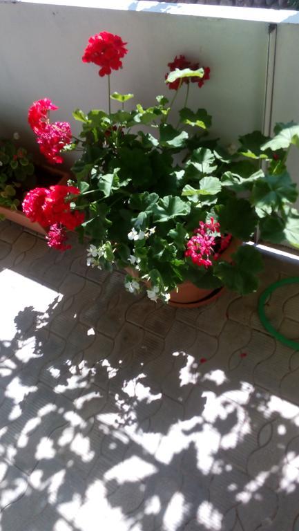 Abramichi Guest House Sighnaghi Zewnętrze zdjęcie