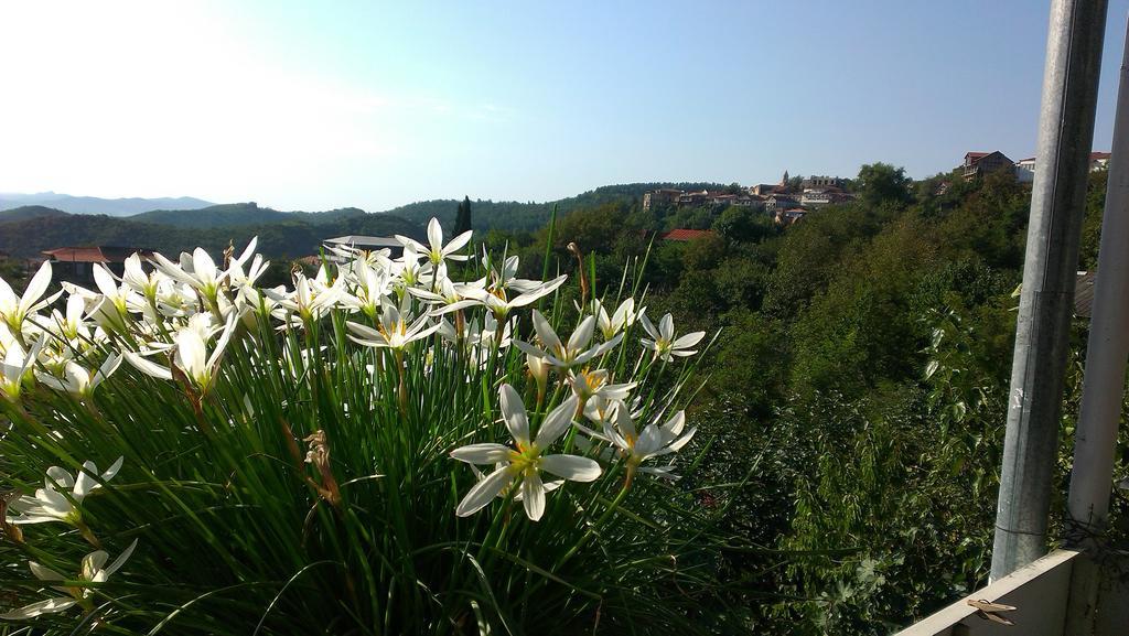 Abramichi Guest House Sighnaghi Zewnętrze zdjęcie