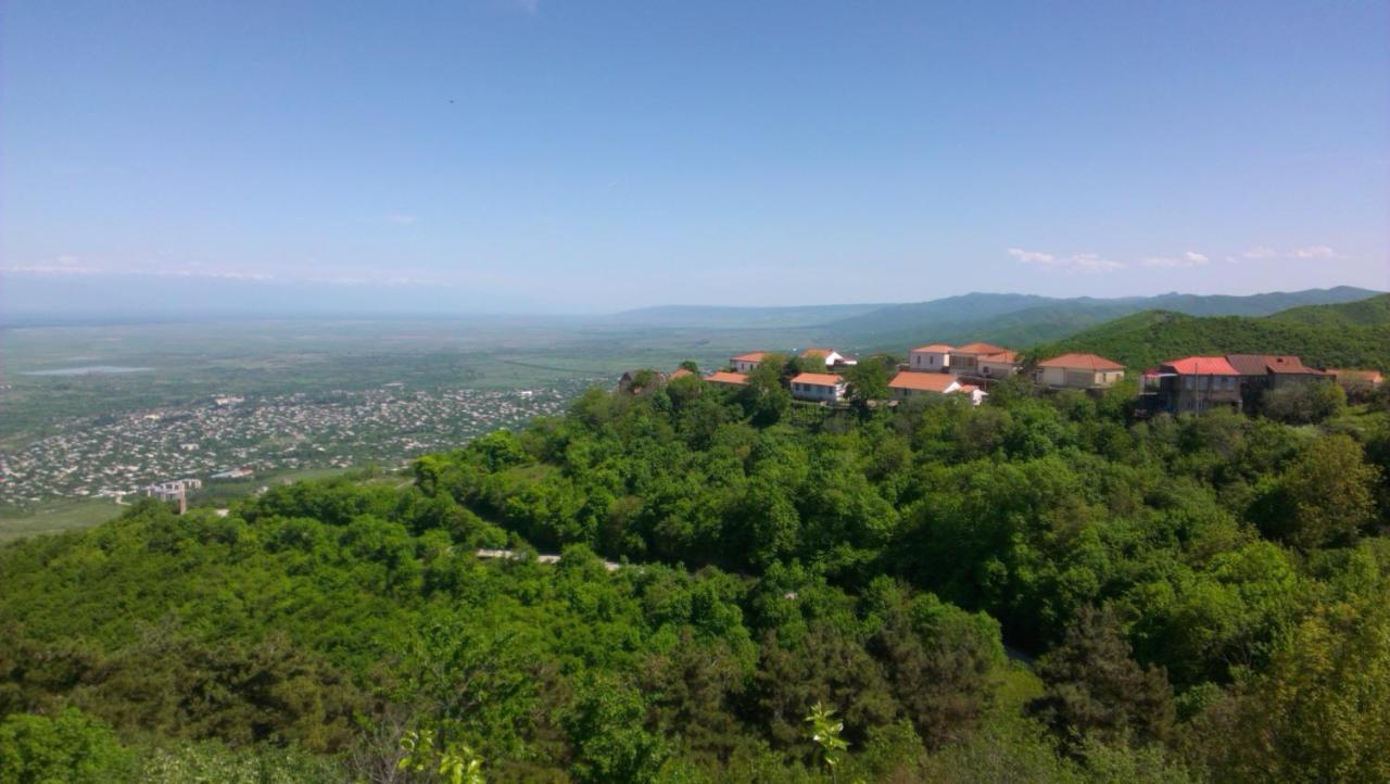 Abramichi Guest House Sighnaghi Pokój zdjęcie