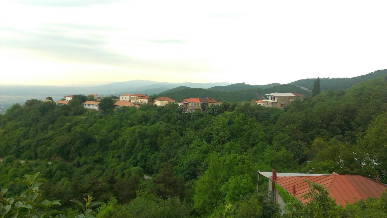 Abramichi Guest House Sighnaghi Pokój zdjęcie